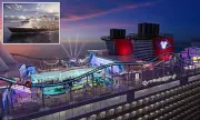 Disney's Cruise Ship Rides Spark Fierce Debate Among UK Fans