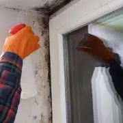 Ditch Bleach for Mould: Expert Reveals 1 Kitchen Staple That Works