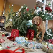 Dog trainer's simple trick stops pets attacking Christmas trees