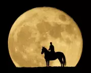 Don't Miss 2025's Biggest Supermoon! Your Complete Stargazing Guide for Wednesday Night