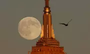 Don't Miss Tonight's Spectacular Harvest Supermoon - The Biggest and Brightest of 2024