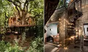 Dorset's £2M Luxury Treehouse Retreat Hits the Market After Decade of Craftsmanship