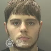 Drug-fuelled teen stabbed girlfriend and killed her cat in Cardiff attacks