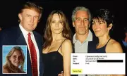 Epstein's Final Email: Trump Knew of Abuse But Never Got Massage