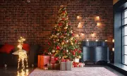 Expert Tips for the Perfect Christmas Tree & Avoiding Festive Faux Pas