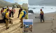 Father Dies Rescuing Daughter From 20-Foot Waves in California