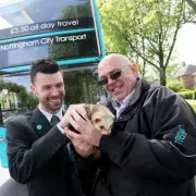 Ferret Rides UK Bus: Driver Mitch Tuffill's Unusual Passenger
