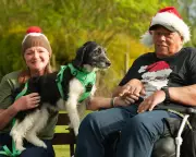 Festive TV Guide: The Dog House Christmas Special & Tonight's Top Shows