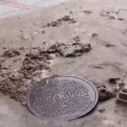 Fountain of Filth: Tourists Recoil as Rome's Historic Water Feature Turns Into Sewage Spectacle