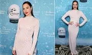 Gal Gadot Stuns at Gala Amid Rachel Zegler Instagram Unfollow Drama