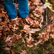 Gardeners Beware: This Common Autumn Mistake Could Cost You Thousands