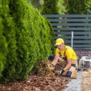 Gardeners' World Star Reveals: The One Common Mistake That's Killing Your Plants