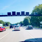 German Autobahn Chaos: Cows Cause Motorway Mayhem After Dramatic Police Chase