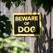 Golden Retriever's Hilarious Fail as a Guard Dog Goes Viral