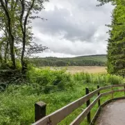 Hafren Forest: Wales' Magical Woodland with Waterfalls & Free Parking