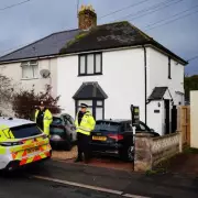 Horrific Dog Attack in Welsh Village Leaves Nine Injured and Community in Shock