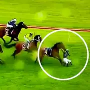 Horse Dumps Jockey Before Winning Post in Dramatic Otaki Finish