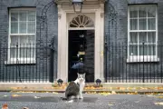 Inside No 10: Crumbling Downing Street 'Not Fit for Purpose'