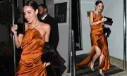 Jackie Apostel Stuns in Victoria Beckham Gown for Intimate Beckham Family Dinner with Boyfriend Cruz