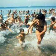 Jaws: The 1975 Summer Blockbuster That Still Terrifies on BBC