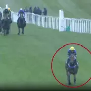 Jockey's Miraculous Recovery After Horrific Ascot Fall Stuns Racing World