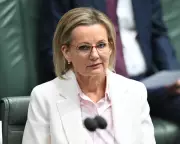 Liberal Party Civil War: Pressure Mounts on Sussan Ley to Abandon Net Zero Pledge