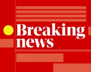 London Manhunt: Police Urgently Search for Prisoner Wrongly Released from Custody