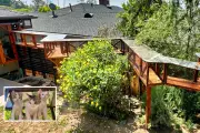 Luxury Cat Palaces: Pet Owners Spend $125,000 on Outdoor Catios