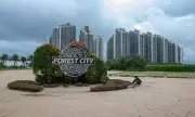 Malaysia's £80bn Forest City: A Ghost Town Built for 700,000