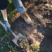 Man Uncovers Mystery Metal Box in Garden, Police Investigate