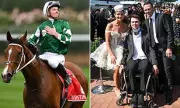 Melbourne Cup Champion Makes Heartfelt Vow to Apprentice Jockey Left in Wheelchair After Devastating Fall