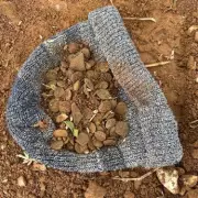 Metal detectorists find 1,800-year-old Roman coin hoard in Kent field