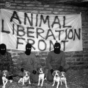 Met's 'Mata Hari' Spy Married Activist She Was Sent to Infiltrate