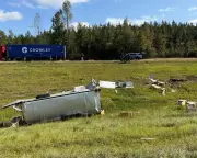 Mississippi Monkey Mayhem: Second Primate Shot Dead After Dramatic Truck Escape