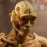 Mother's Trauma: 'I Found My Son's Body in a Museum Exhibition'