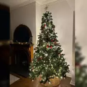 Mum's Genius Hack Keeps Toddler Away From Christmas Tree