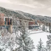My Arbor: A Treehouse Spa Hotel in Italy's Breathtaking Dolomites