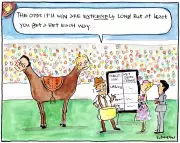 National Party's Net Zero Gamble: Backing the Wrong Horse in Climate Policy Race?