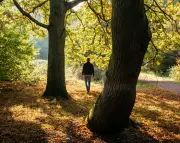 Nature Disconnected: Britain Ranks Among World's Least Nature-Connected Nations, Study Reveals