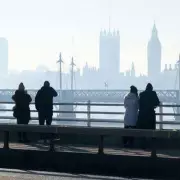 Nature's Winter Warnings: Fat Squirrels & Spider Invasions Explained