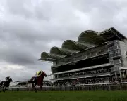 Newmarket Horse Owner Faces Council Complaint Over 'Constant Neighing'