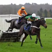 Newsboy's Friday Racing Tips: Impose Toi & Heltenham Fancied