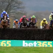 Newsboy's Thursday Racing Tips: Ellerton Nap at Taunton