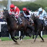 Newsboy's Thursday Racing Tips: Nap & Double at Newcastle