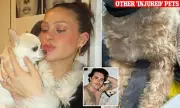 Nicola Peltz Beckham Demands Groomer Records After Chihuahua's Death