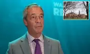 Nigel Farage Denies Racist Intent in School Behaviour Allegations
