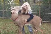 Ohio Grandmother Killed by Rescued Deer in Tragic Rehabilitation Incident