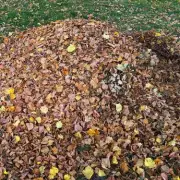 Only Hawk-Eyed Observers Can Spot Hidden Frog in 10 Seconds