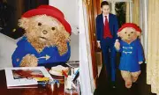 Paddington Bear Declares Iconic Duffle Coat 'In Vogue' in British Vogue Interview