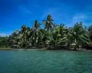 Papua New Guinea PM Delivers Scathing Verdict on COP Climate Summits: 'Talkfests' That Fail Vulnerable Nations